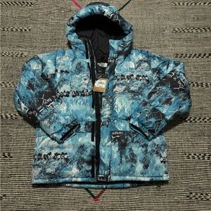 NWT TheNorthFace 550 Puffer Men's Sz L